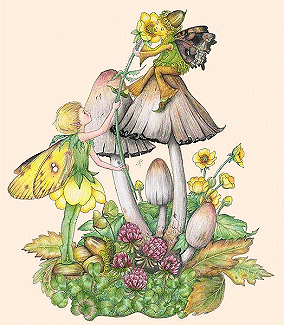 Buttercup flower faeries. Copyright© 2002 Myrea Pettit