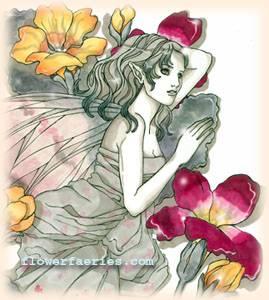 Primrose flower faeries. Copyright© 2002 Natalia Pierandrei